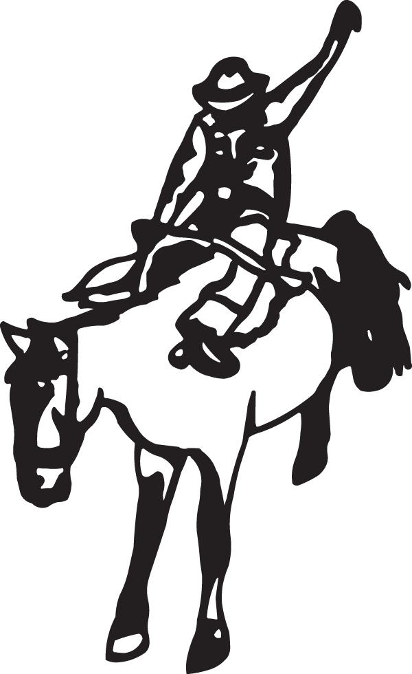 (image for) Ride'em Cowboy