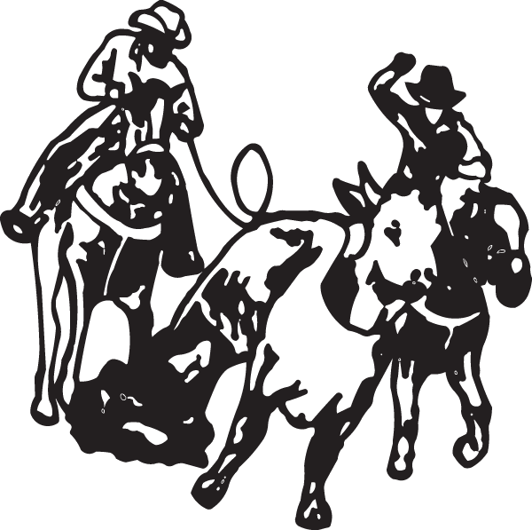 (image for) Steer ropin decal