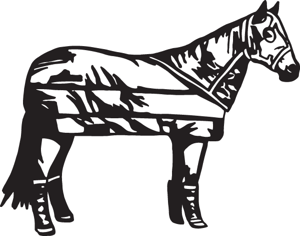 (image for) Horse in Blanket Decal