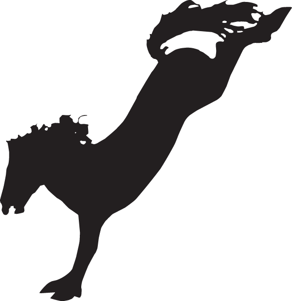 (image for) Bucking Horse Decal