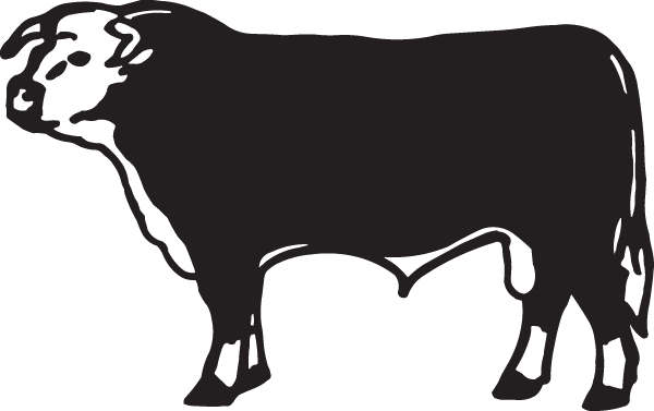 (image for) Hereford Cow Decal