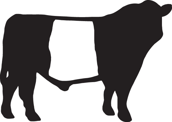 (image for) Belted Galloway Decal