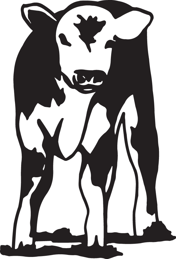 (image for) Hereford Calf Decal