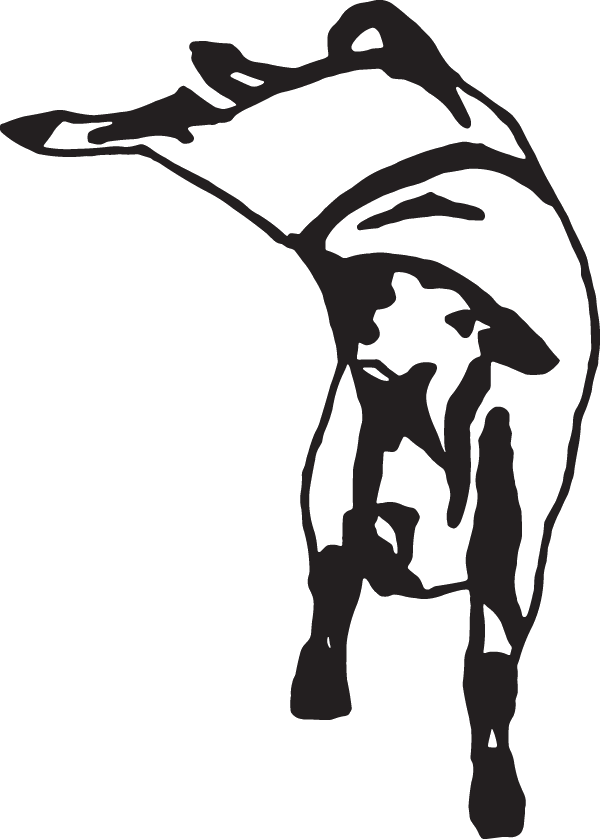 (image for) Wild Steer Decal