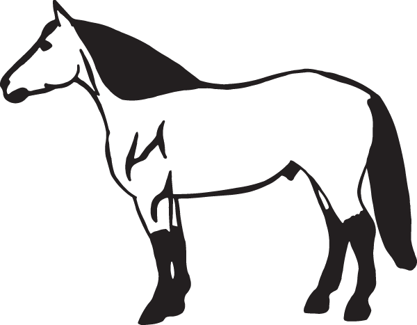 (image for) Horsy Decal