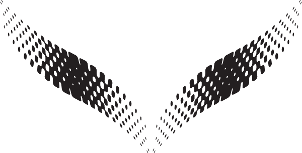 (image for) Diffuse Hood Decal