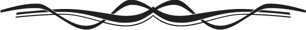 (image for) Dazzle Windshield Banner