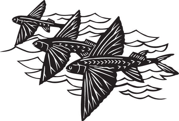 (image for) Early Morning Fishing Decal