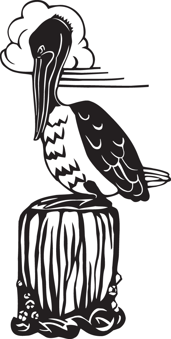 (image for) Pelican Decal