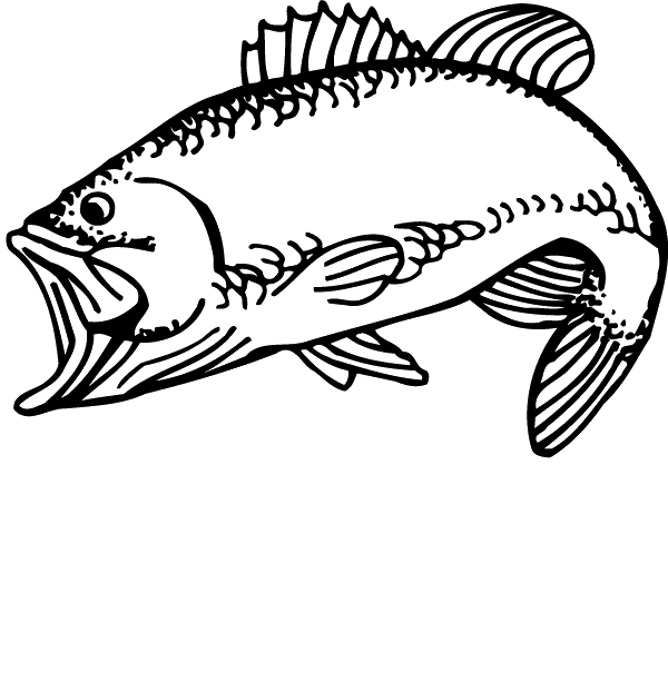 (image for) Largemouth Bass Decal