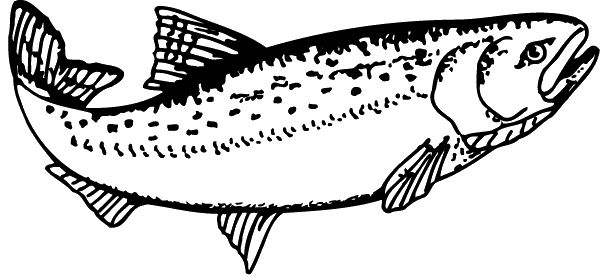 (image for) Cutthroat Trout Decal