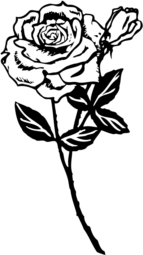 Rose Decal 
