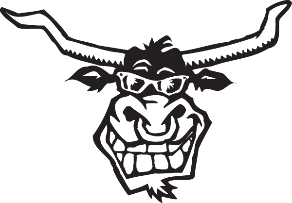 (image for) Stupid Steer Decal