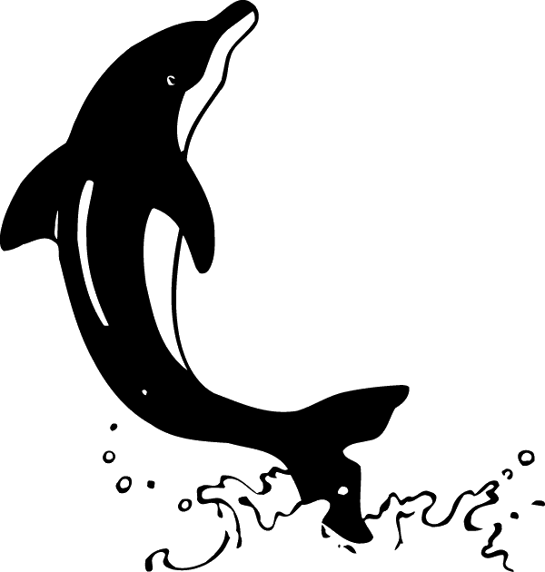 (image for) Dancing Dolphin Decal