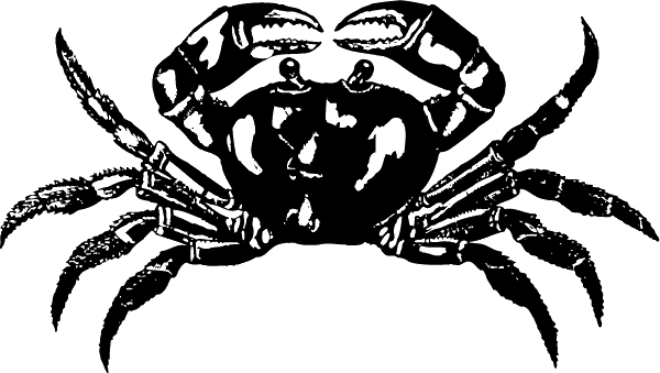 (image for) Crab