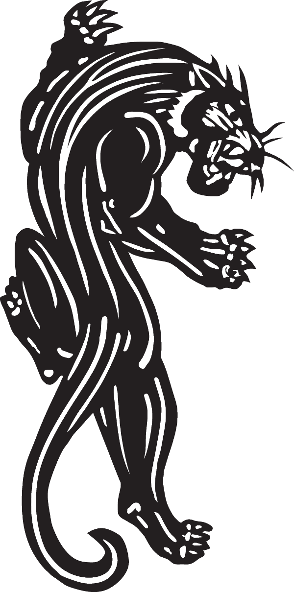 (image for) Black Panther Wall Climb Decal