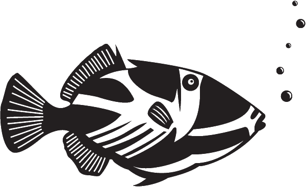 (image for) Humu Picasso Triggerfish Decal