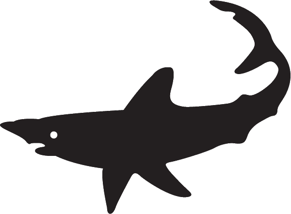 (image for) Porbeagle Shark Decal