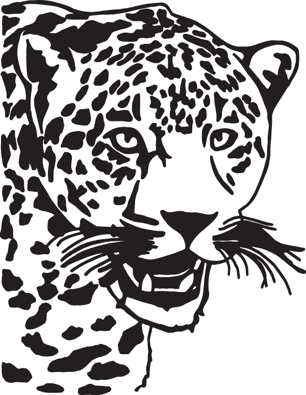 (image for) Leopard Decal