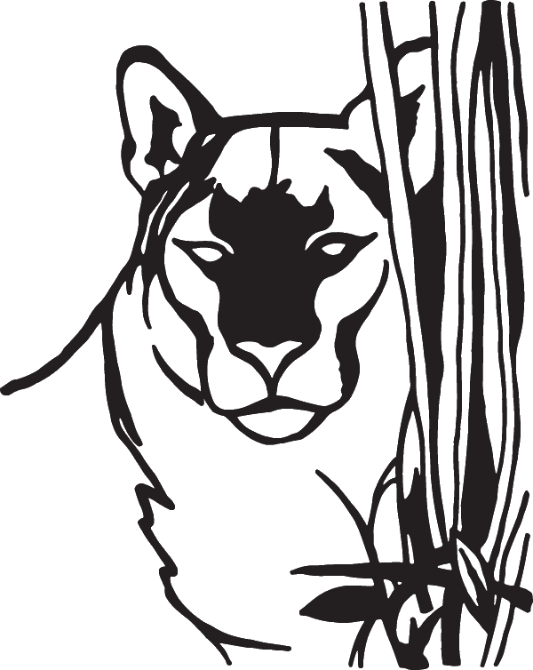 (image for) Cougar Decal