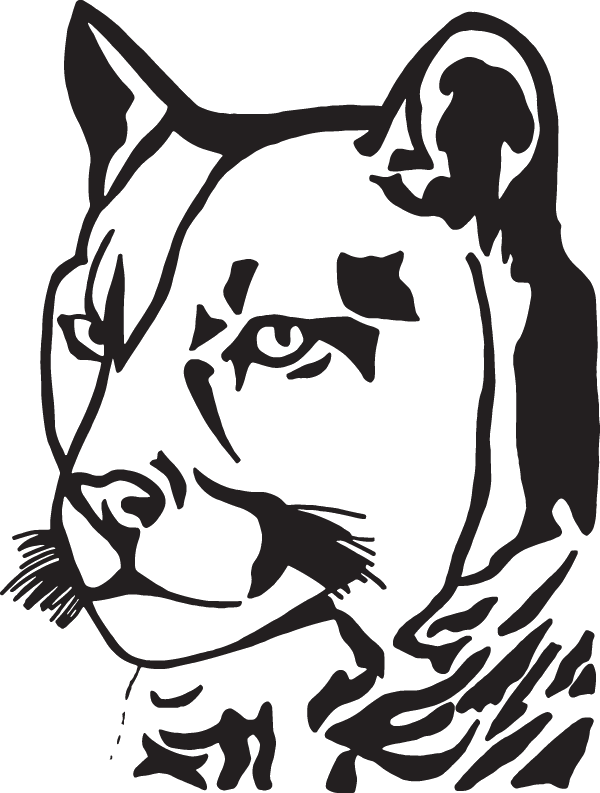 (image for) Puma Decal
