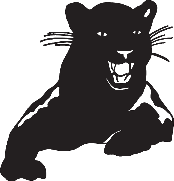 (image for) Black Panther Front View Decal