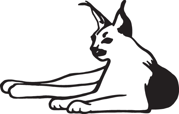 (image for) Lynx Decal