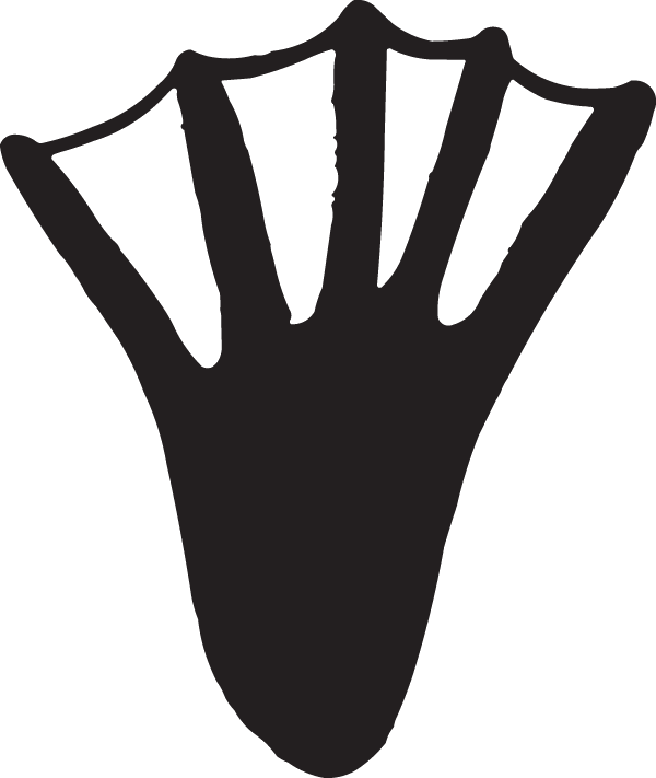(image for) Webbed Foot Decal