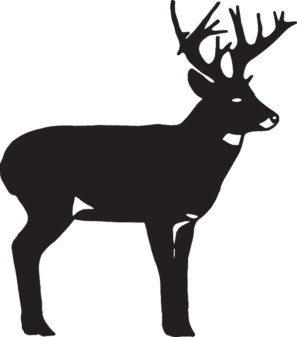 (image for) Buck Decal