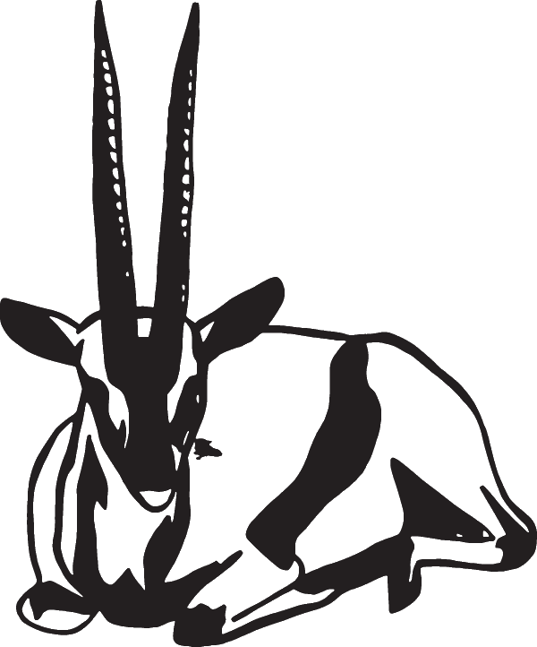 (image for) Antelope Decal