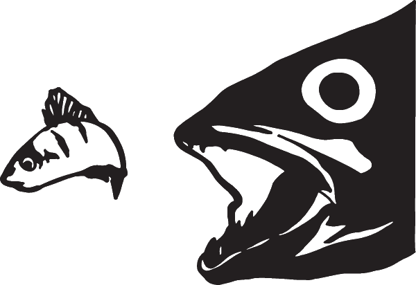 (image for) Live Lure Decal