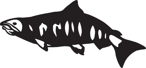 (image for) Salmon Sticker