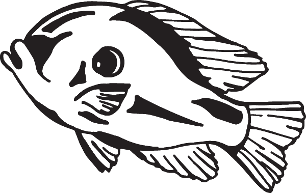 (image for) Pacific Moonfish Decal