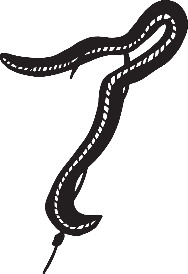 (image for) Night Crawler Fishing Lure Sticker