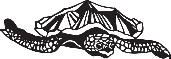 (image for) Sea Turtle Decal
