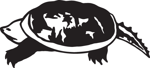 (image for) Snapping Turtle Decal