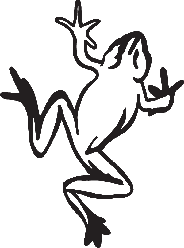 (image for) Frog Decal