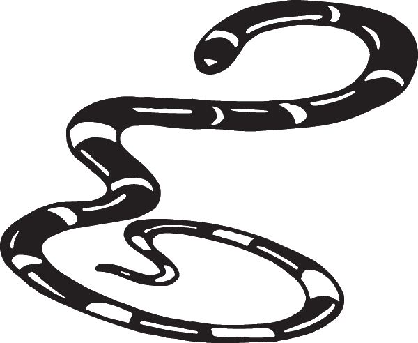 (image for) Coral Snake Decal