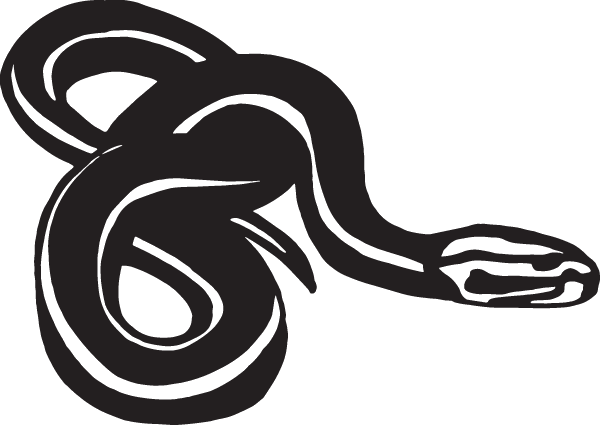 (image for) Snake Decal