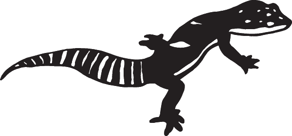 (image for) Gecko Decal