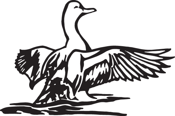 (image for) Duck landing on water decal