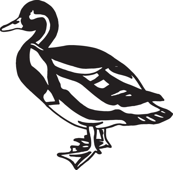 (image for) Standing Duck