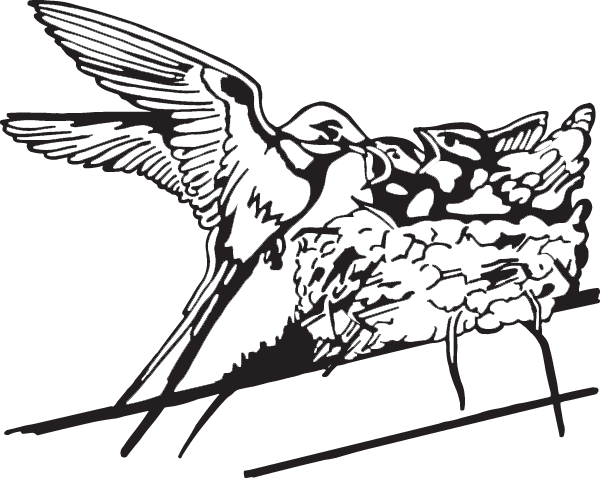 (image for) Multiple Hummingbirds Decal