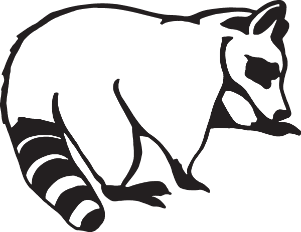 (image for) Raccoon Decal