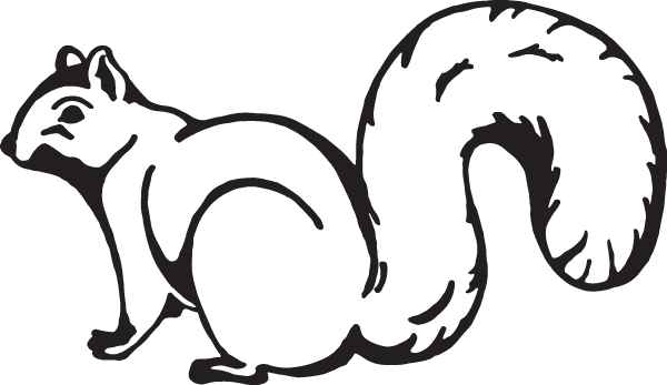 (image for) White Squirrel Decal