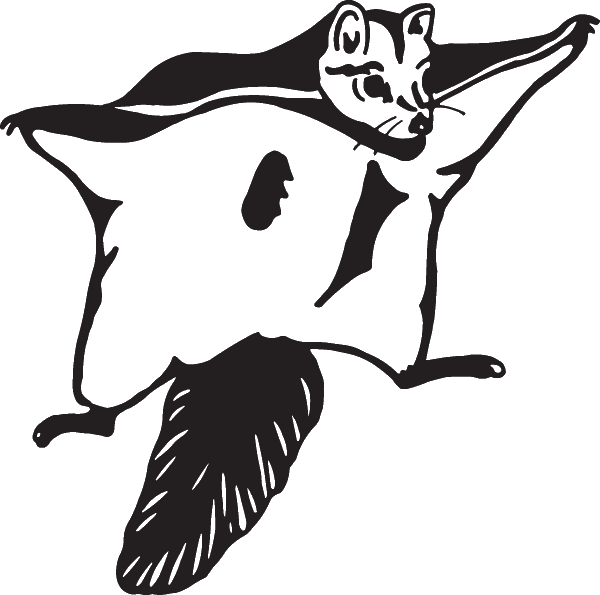 (image for) Flying Squirrel Decal