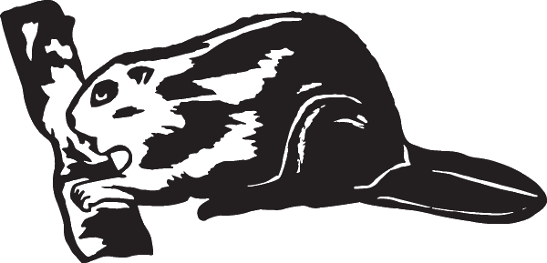 (image for) Beaver Decal