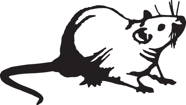 (image for) Rat Decal