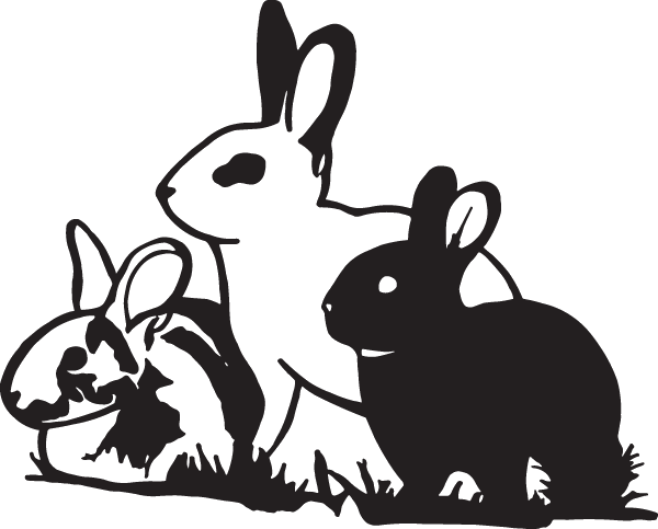 (image for) Multiple Rabbits Decal