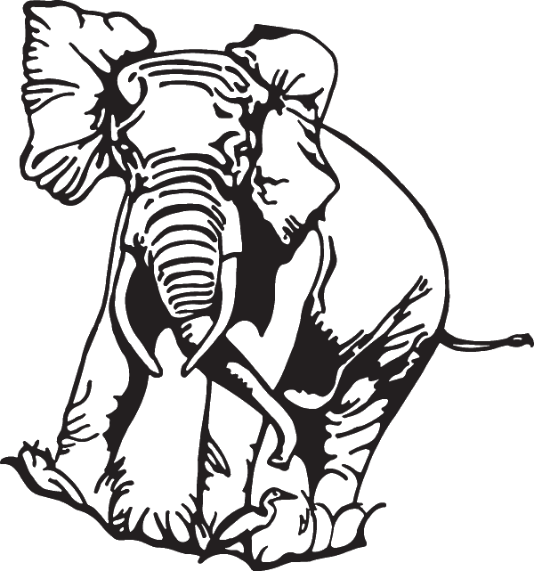 (image for) African Elephant Decal